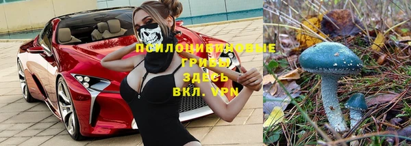 эйфоретик Балахна