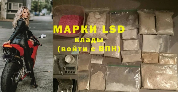 ГАЛЛЮЦИНОГЕННЫЕ ГРИБЫ Балабаново