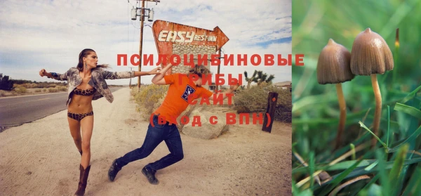 эйфоретик Балахна