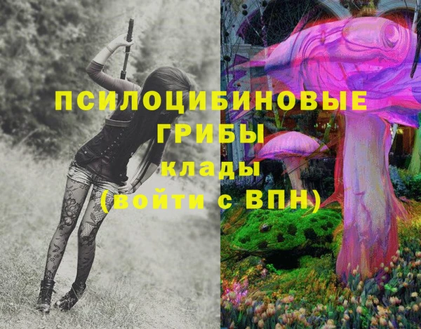 ГАЛЛЮЦИНОГЕННЫЕ ГРИБЫ Балабаново