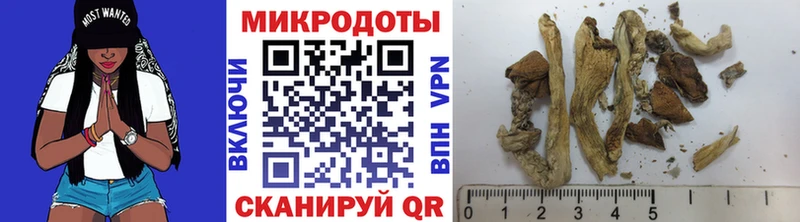 Галлюциногенные грибы Psilocybe  Вольск 