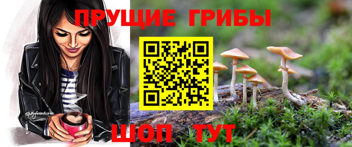 Псилоцибиновые грибы прущие грибы Вольск