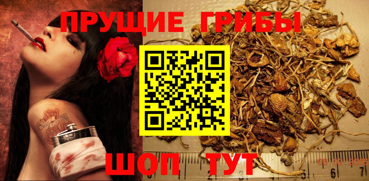 Вольск  Псилоцибиновые грибы Psilocybine cubensis  Галлюциногенные грибы MAGIC MUSHROOMS  Вход с VPN 