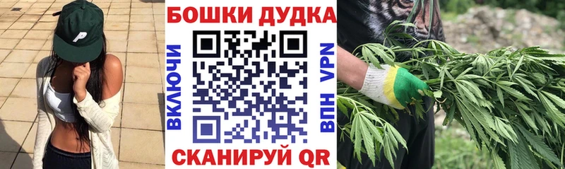 Бошки марихуана семена наркота Вольск